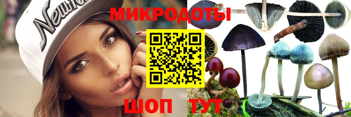 Галлюциногенные грибы GOLDEN TEACHER Первоуральск